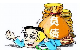 阜宁债务清欠服务